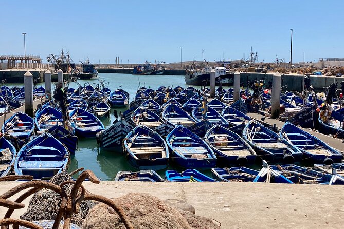 14-Day Private Morocco Street Art Tour - Day 6: Safi, oysters, and a long Atlantic drive