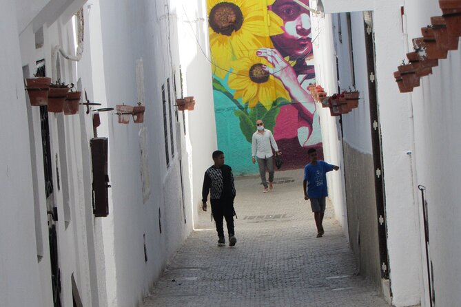 14-Day Private Morocco Street Art Tour - Day 3: A free day with strong Marrakech options