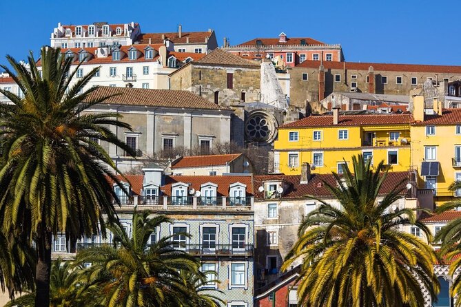 3-Hour Guided Street Art Walking Tour of Lisbon - Why Lisbon’s Street Art Works Best on Foot