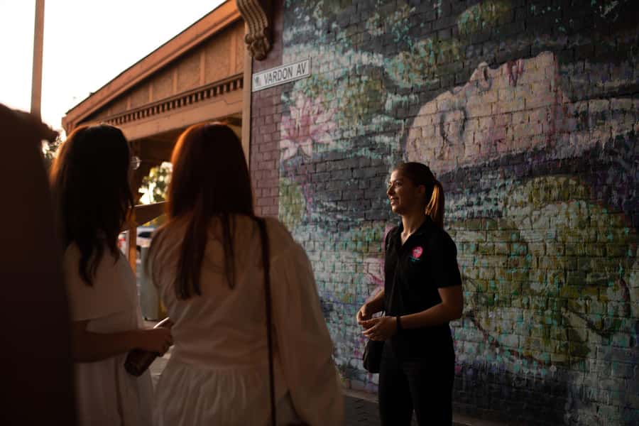 Adelaide: Paint and Palate Street Art Tour - Timing, access, and practical planning