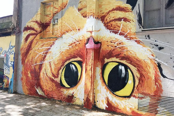 Barcelona Street Art and Graffitti Bicycle Tour - Who will enjoy this outing most