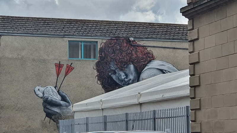 Belfast Troubles : Murals, Street Art, and Peace Wall Tour - Falls Road, Divis Road, and republican murals