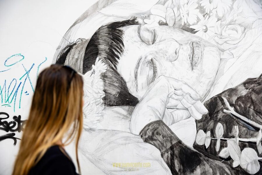 Best Street Art in Valencia Walking Tour - Language, access, and practical planning
