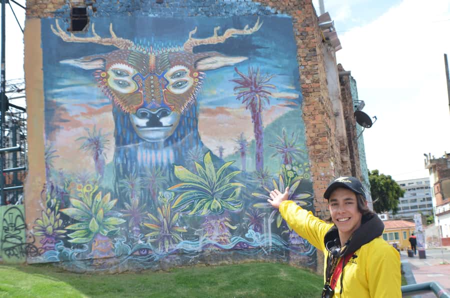 Bogotá: La Candelaria Graffiti & Urban Art Guided Tour - Ending at Café Herencia with coca leaf tea