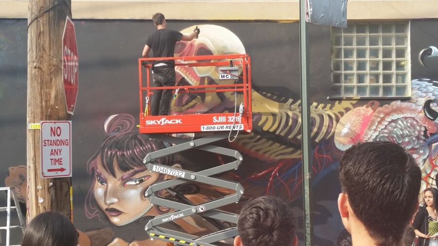 Brooklyn: Bushwick Street Art Walking Tour - A Small Group Makes a Real Difference