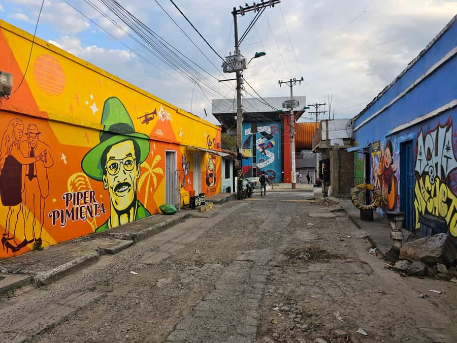 Cali: Comuna 20 Siloé Street Art Tour - Walking through walls, alleys, and staircases