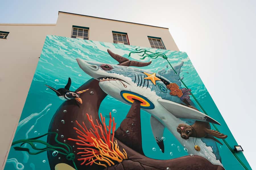 Cape Town: Street Art Walking Tour in Woodstock - Salt Orchard and the creative side of the neighborhood