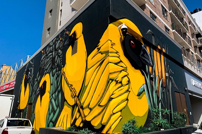 Cape Town Woodstock Street Art Walking Tour - Who Will Enjoy This Walk Most
