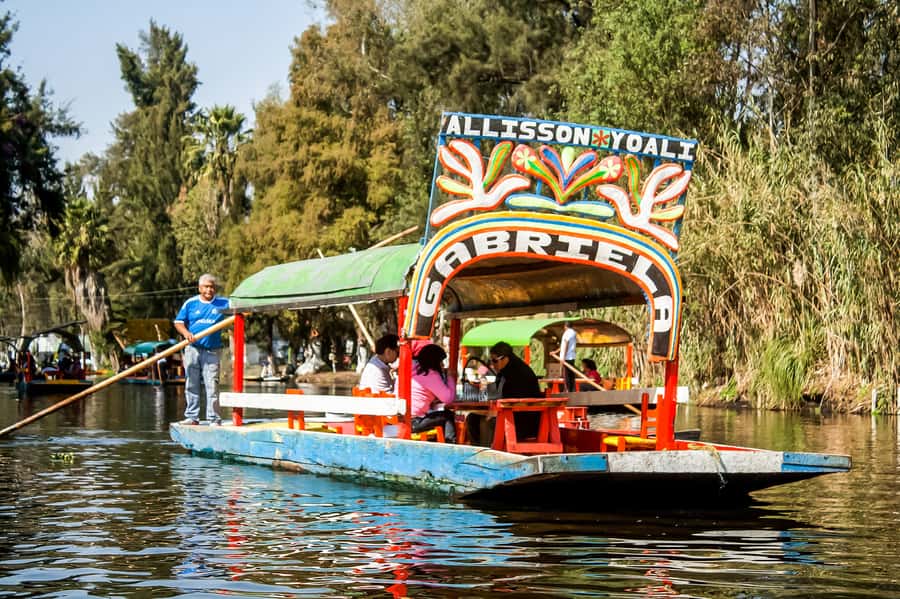 CDMX: Xochimilco, Coyoacan, Frida Kahlo Museum & Murals Tour - UNAM’s murals and monumental campus art