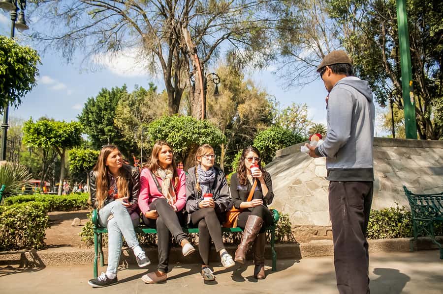 CDMX: Xochimilco, Coyoacan, Frida Kahlo Museum & Murals Tour - Getting around and handling the pace