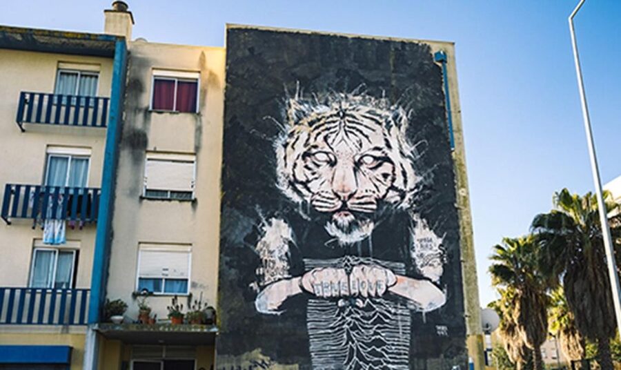 Chaparru<code>s Street Art Tuk Tuk Tour 3 H – Key points to know before booking’ /></p>
<ul>
<li><strong>Private tuk tuk for up to two people:</strong> The $205 price covers the group, not each passenger.</li>
<li><strong>A wide spread of Lisbon neighborhoods:</strong> The route can include Marvila, Beato, Alcântara, Moscavide, Graça, and LX Factory.</li>
<li><strong>Major and lesser-known artists:</strong> Expect names such as Vhils, Bordalo II, Akacorleone, Tamara Alves, Add Fuel, Hazul, and Felipe Pantone.</li>
<li><strong>Lucas may add a personal touch:</strong> His friendly approach once led to contact with an artist and a visit to the artist’s studio.</li>
<li><strong>Guide language choice:</strong> Tours are offered in Portuguese, English, German, Spanish, and French.</li>
<li><strong>Not suitable for everyone:</strong> The tuk tuk is not recommended for children under seven, pregnant women, people with back problems, mobility impairments, or wheelchair users.</li>
</ul>
<h2>Why a tuk tuk works for Lisbon street art</h2>
<p><img width="900" height="536" decoding="async" src=