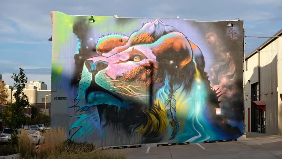 Dark Side of Denver – RiNo’s True Crime and Murals Tour - How much value do you get for $25?