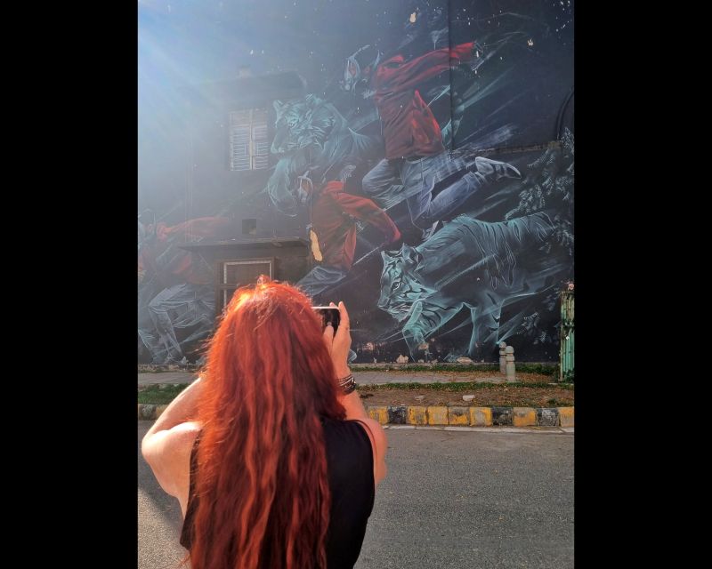 Delhi Street Art Tour: Explore the Murals & Visit a Stepwell - How much value do you get for $38?