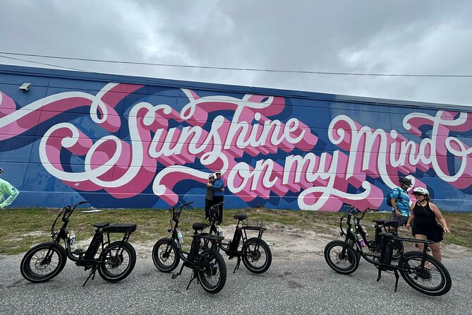 E-Bike Guided Tour Downtown St Pete: Sights & Murals - Gizella Kopsick Arboretum’s worldwide palm collection