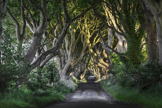Giant's Causeway and Belfast City Murals Tour inc Game of Thrones Dark Hedges - Key things to know before booking
