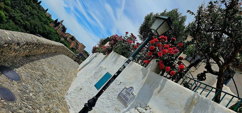 Granada: "Street Art & The Caves" Unique Guided Walking Tour - Carmen de los Mártires and a quiet garden break