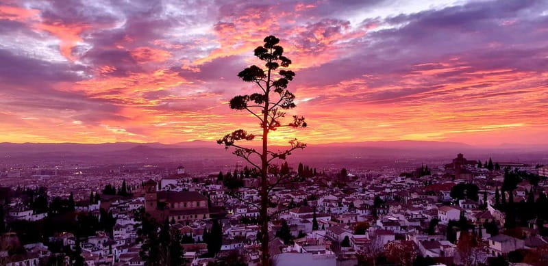 Granada: "Street Art & The Caves" Unique Guided Walking Tour - Price, length, and physical demands
