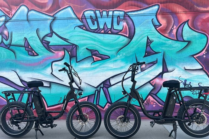 Guided Asheville E-bike Tour of River Arts, Mountains and Murals - French Broad River Park brings an easy start