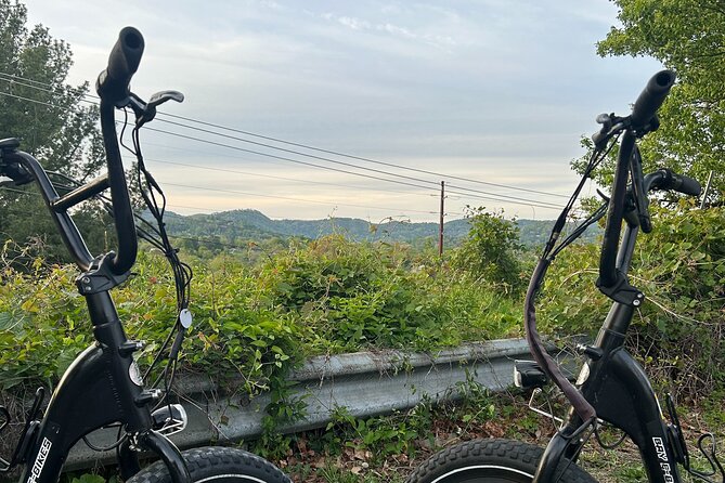 Guided Asheville E-bike Tour of River Arts, Mountains and Murals - Starting at Carrier Park near the French Broad River