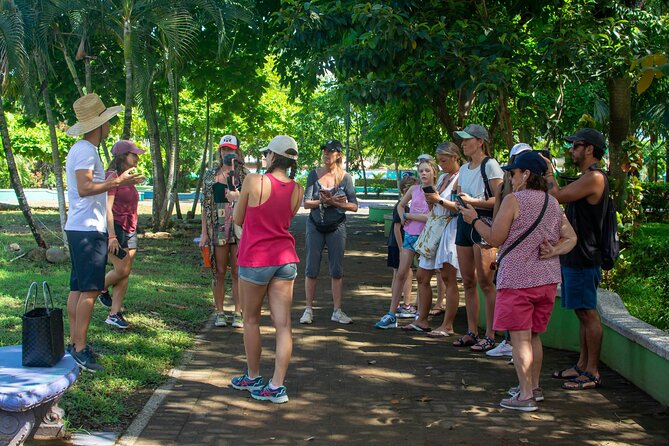 Guided Walking Street Art & Graffiti Tour in Jaco Costa Rica - What Josué adds to the experience