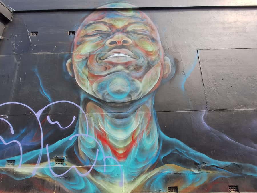 Hidden Adelaide: Laneways & Street Art Tour - Is $45 good value for two hours?