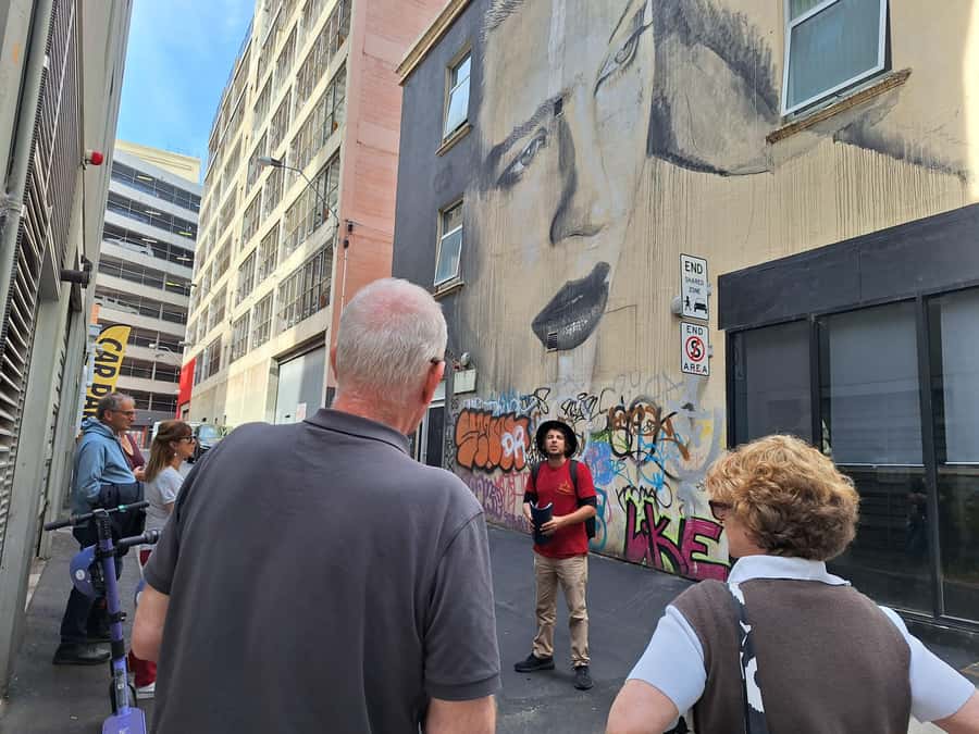 Hidden Adelaide: Laneways & Street Art Tour - Street art that goes beyond a single mural