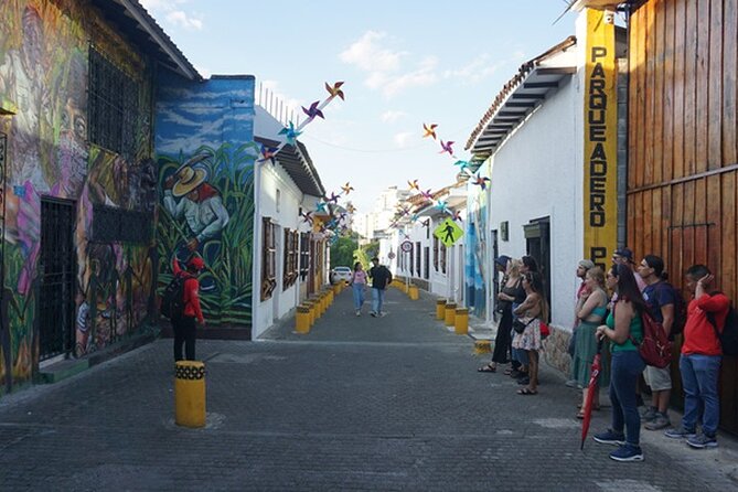Historical Shared Tour Salsa, Graffiti & Resistance in Cali - La Curva del Boulevard, murals, and a meal on your own