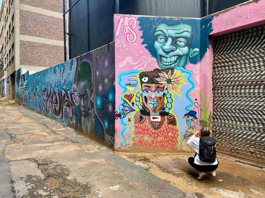 Johannesburg: Braamfontein Street Art & Culture Tour - Grayscale Store and the City of Gold walls