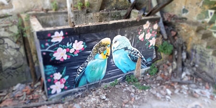 Lisbon: Private Tuk-Tuk Street Art Tour for 2,5 hours - The private tuk-tuk tradeoff