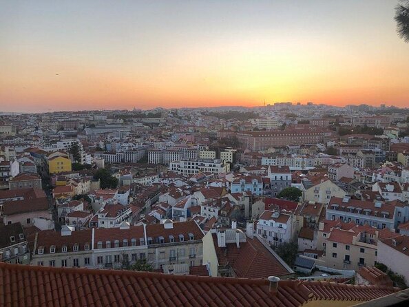 Lisbon Street Art and Lookout Point Tour - Why Lisbon’s street art makes a fine walking subject