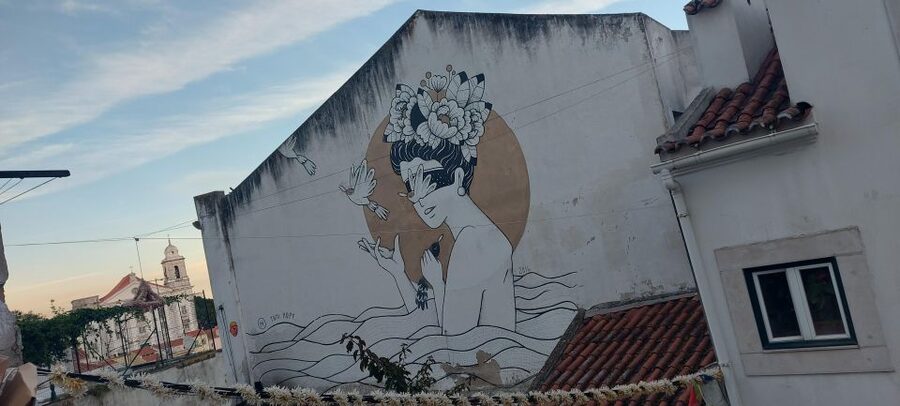 Lisbon Street Art Lovers Walk - Graça’s slopes and the story behind the images