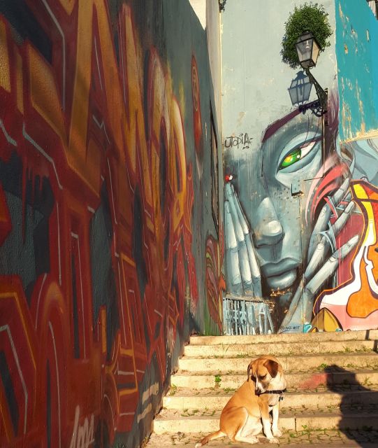 Lisbon Street Art Lovers Walk - Walking conditions, weather, and daily planning