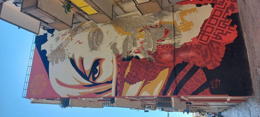 Lisbon Street Art Lovers Walk - Starting in Mouraria, where old streets meet new work