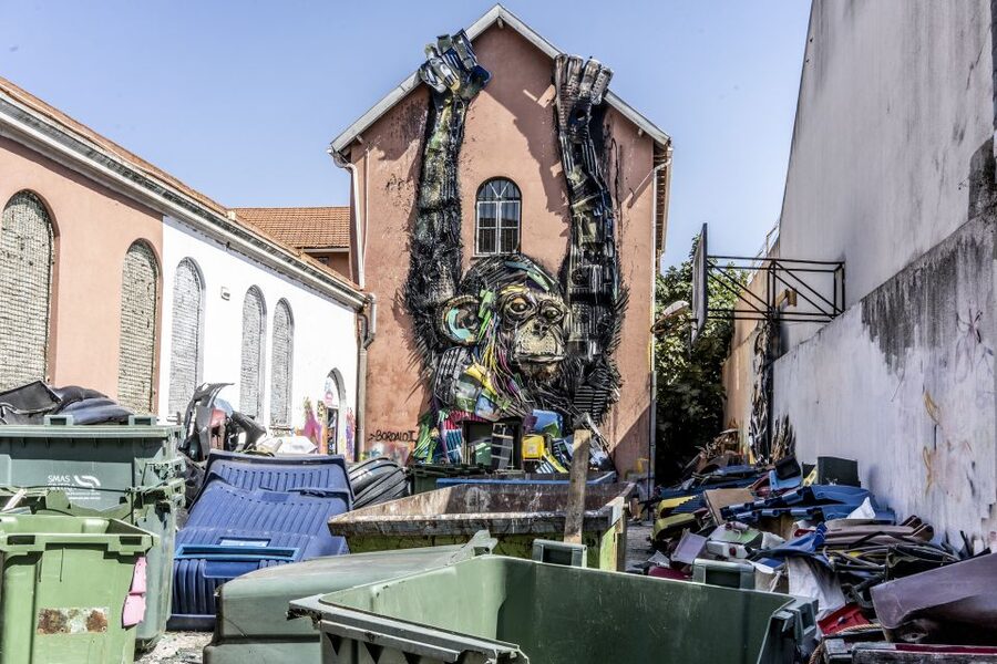 Lisbon: Street Art TukTuk Tour - Guides who add the most value