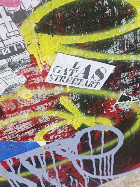 Lyon: Street Art in the Croix Rousse district - Access, weather, and practical limits