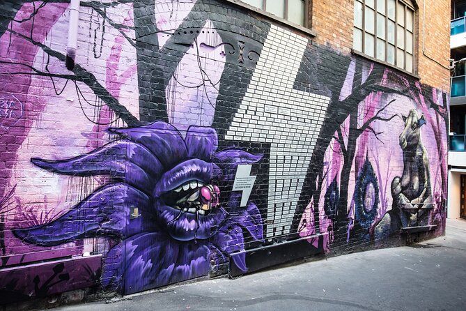 Melbourne Street Art Tour with a Local: Private & Personalized - The Instagram-friendly street and the quieter lanes