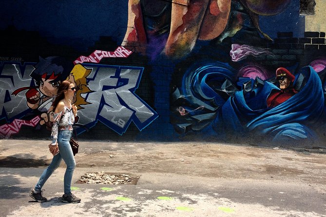 Mexico City Private Street Art Tour - What the guide adds beyond the artwork