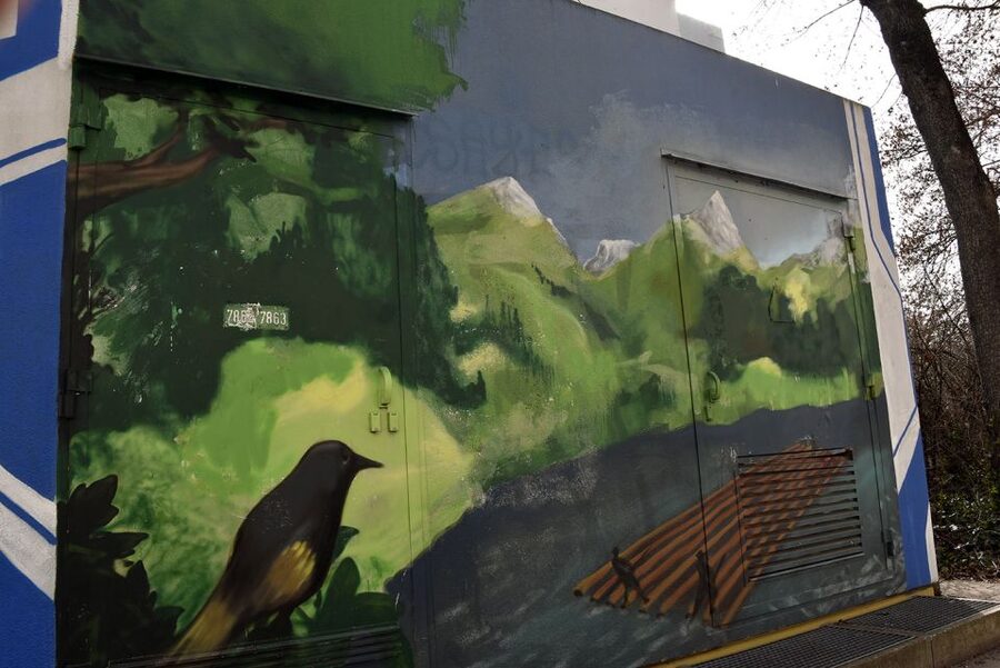 Munich: Street Art Bike Tour - Practical details that affect your choice