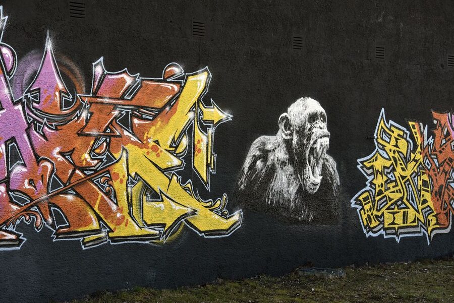 Munich: Street Art Bike Tour - Old masters, new artists, and changing walls