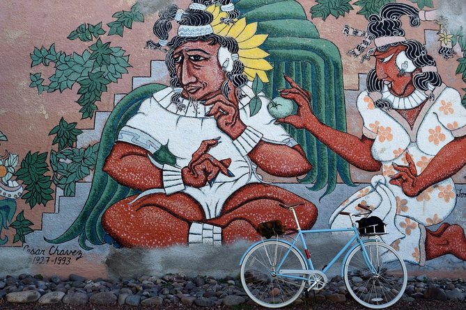 Mural Bike Tour - Pedaling through Barrio Viejo