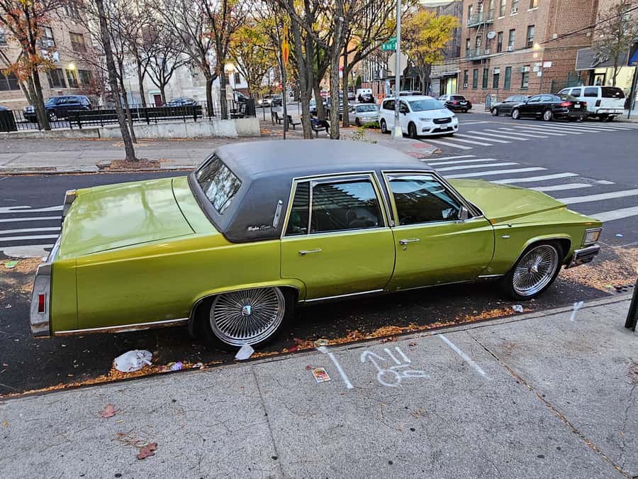 New York: Hip-Hop, Murals, Sports, and Dangerous Neighborhoods Tour - Five hours, subway travel, and what to bring