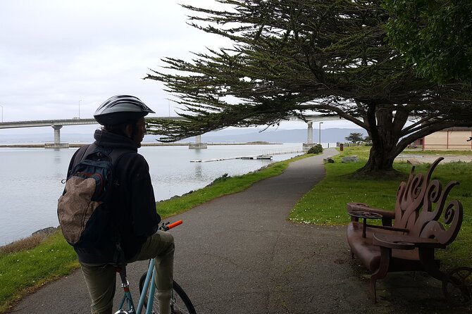 Old Town Eureka's Hidden Gems: History & Street Art Walking Tour - Humboldt Bay views and the harbor finish