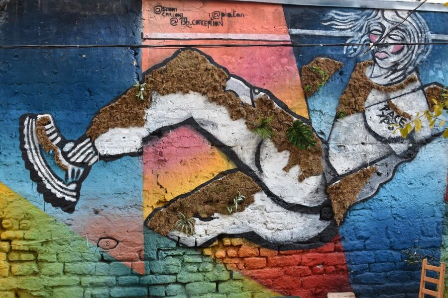 Paris: Belleville Street Art Tour with an Artist - Why Belleville makes such a good street art setting