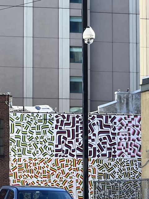 Philadelphia: Street Art Walking Tour with a Local Guide - From graffiti to commissioned murals