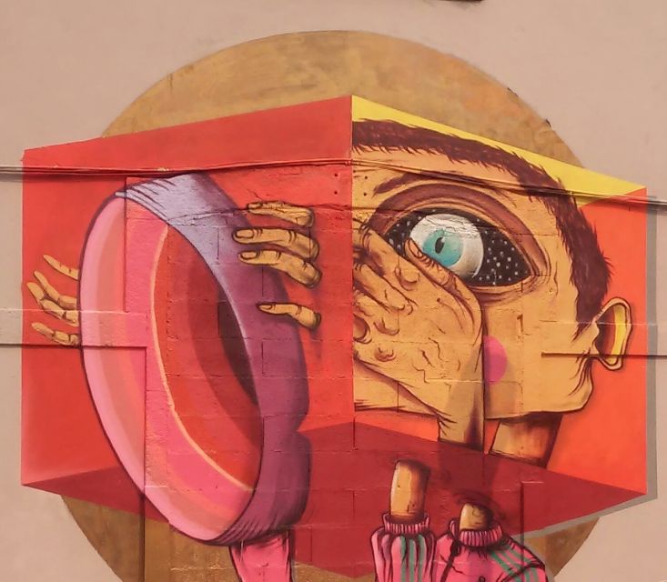 Porto: Half-Day Street Art Tour - Who should take this tour?
