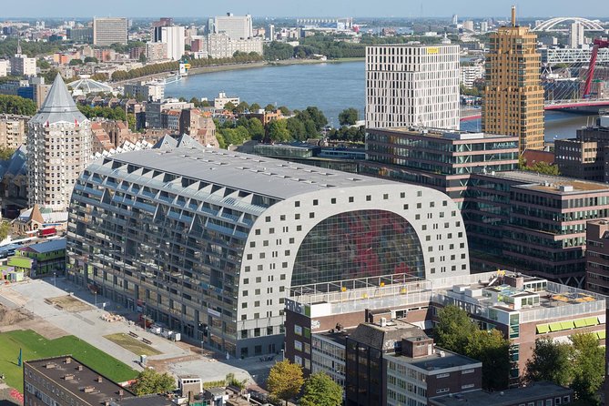 Private Highlights & Art Walking Tour: Markthal, Zadkine, Street Art and Depot - Witte de Withstraat and street art