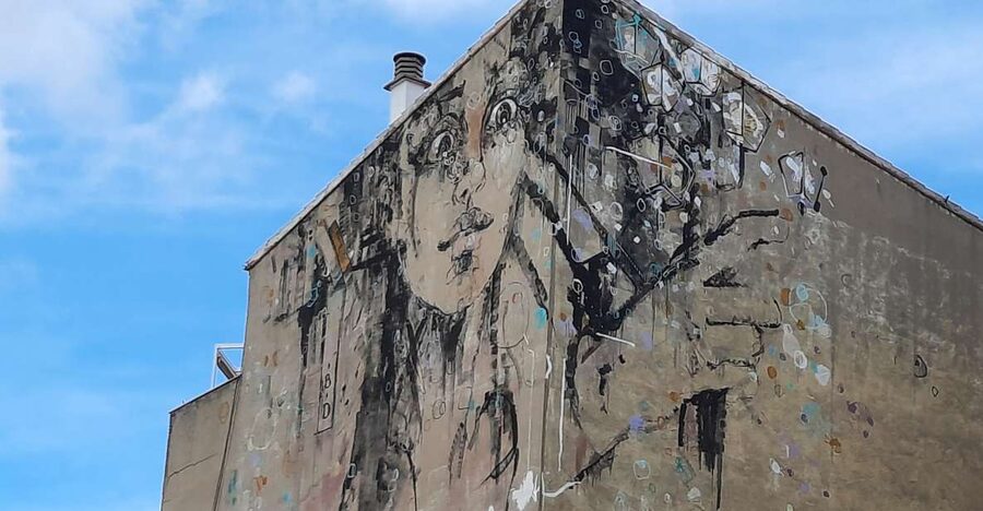 Salamanca: Private Guided Street Art Walking Tour - Key Points at a Glance