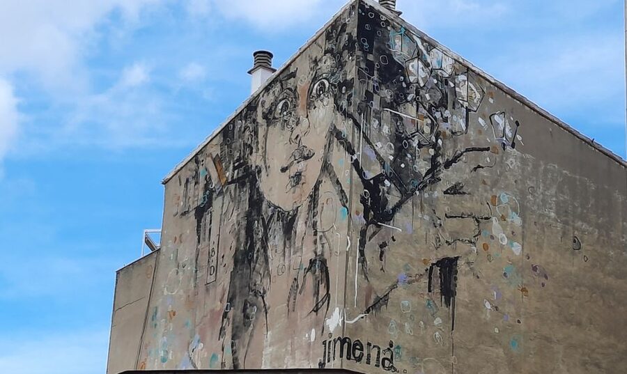 Salamanca: Private Guided Street Art Walking Tour - Walking Through Barrio del Oeste