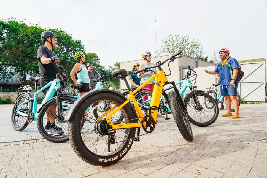 San Antonio: Murals & Hidden Gems E-Bike Tour - The Alamo as a familiar final reference point