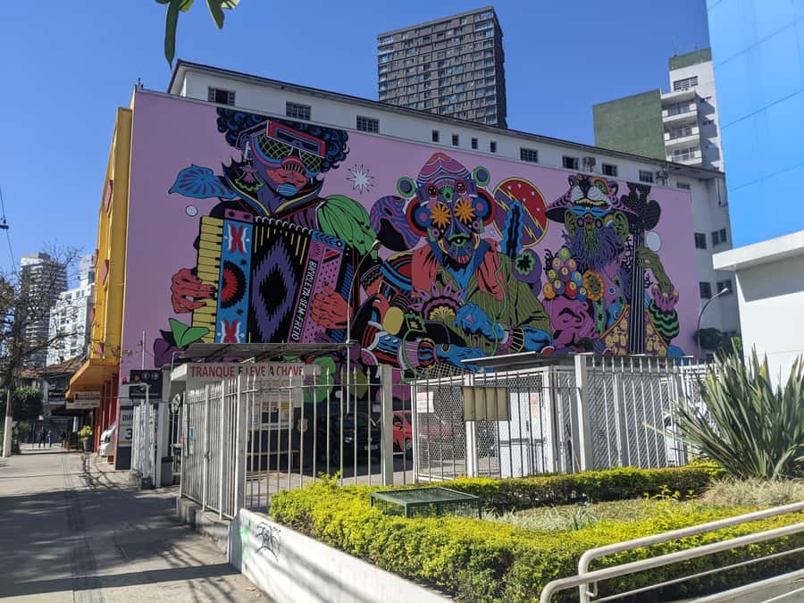 Sao Paulo, Pinheiros - Food & Graffiti Tour | in English - Who should book this Pinheiros walk?